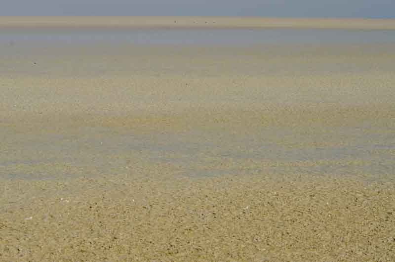 78 - Namibia - parque nacional de Etosha - lago seco